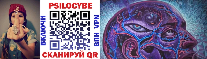 где найти   OMG как войти  Галлюциногенные грибы Cubensis  Спас-Клепики 