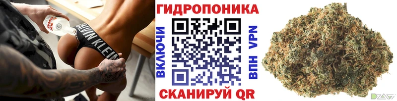 Конопля Ganja  Спас-Клепики 